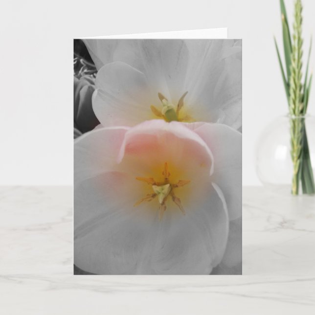 Cartão Elegância (Frente)