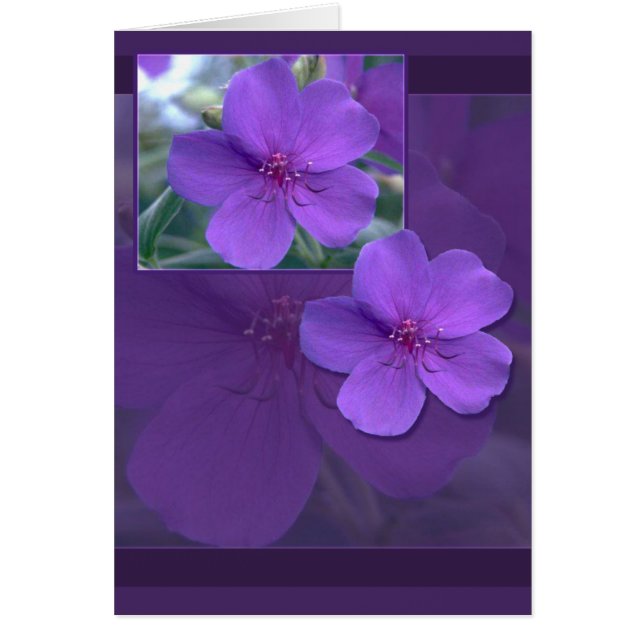 Cartão Elegância Floral Roxa (Frente)