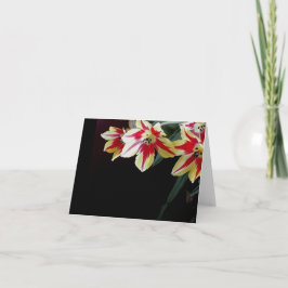 Cartão Elegant blank note card - Red & Yellow Tulips