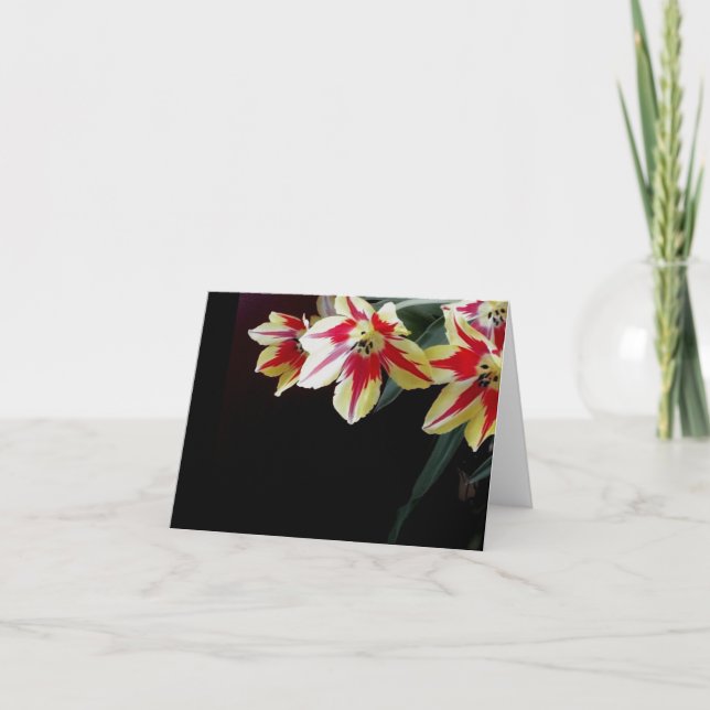 Cartão Elegant blank note card - Red & Yellow Tulips (Frente)