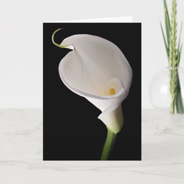 Cartão Elegant white calla (Frente)