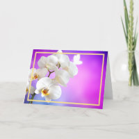 Elegante Moderno Orquídeas Brancas Flores Ouro Qua