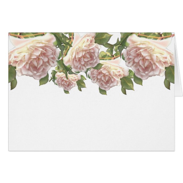 Cartão Elegante, poeirento, cor de laranja branca, rosa f (Frente Horizontal)