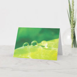 Cartão Elegante, Poucas, Histórias em Poesia da Natureza