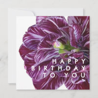 Elegante Tulipa Roxa Floral Feliz Aniversário