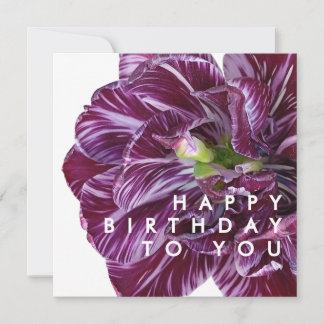 Cartão Elegante Tulipa Roxa Floral Feliz Aniversário