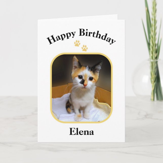 Cartão Elena Calico Kitten Feliz Aniversário (Frente)