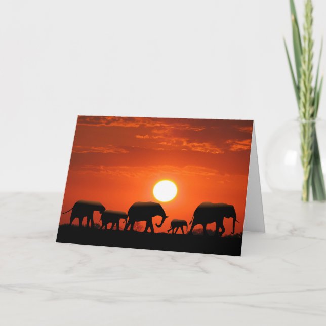 Cartão Elephant family (Frente)