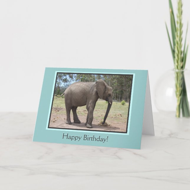 Cartão Elephant Happy Birthday (Frente)