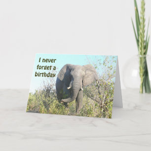 Cartão ELEPHANT/"I Never Forget A Birthday"/BELATED BIRTH