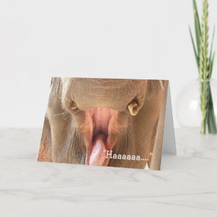 Cartão Elephant Mouth Happy Birthday Card