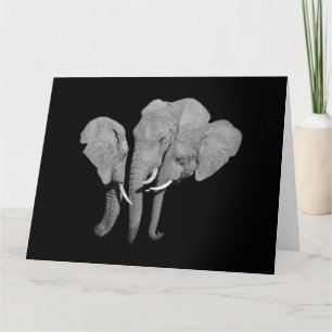 Cartão Elephants greeting