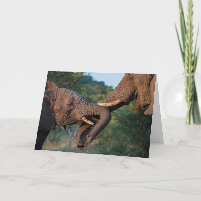 Cartão Elephants Playing Card (Frente)