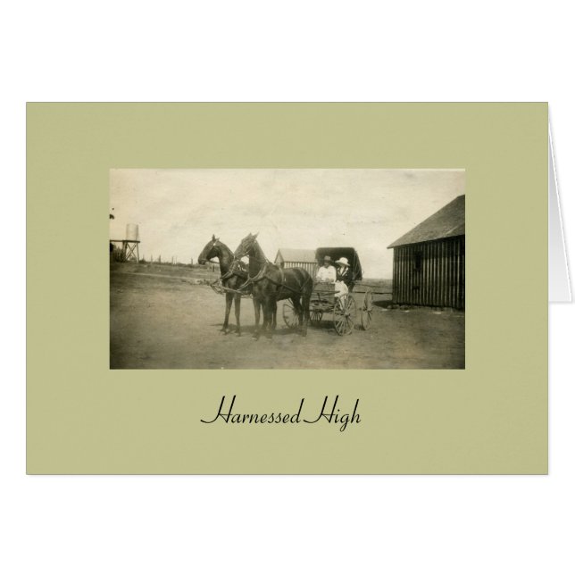 Cartão Elevação aproveitada (Frente Horizontal)