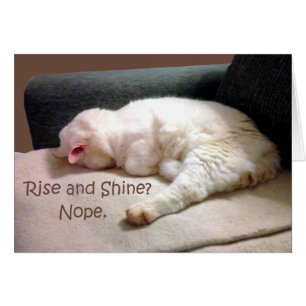 Cartão Elevação e brilho? Nope.