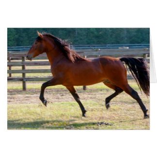 Cartão Elevado Empenhamento