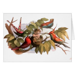 Cartão Elf Bird Sprite Pixie Brownie Fairy Tale