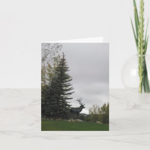 Cartão Elk Birthday Card