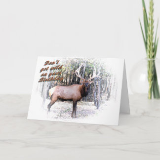 Cartão Elk in the Thicket