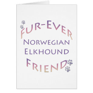 Cartão Elkhound Fuere Norueguês