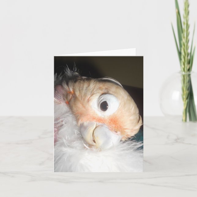 Cartão Ella Glamour (Frente)