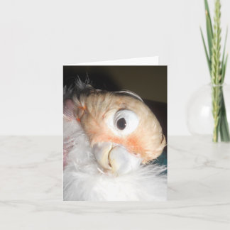 Cartão Ella Glamour