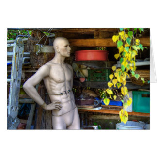 Cartão Ellis Garden III