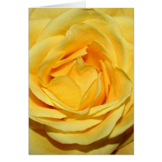 Cartão ellowrosecard