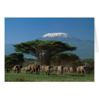 Cartão Elphants of Mt.Kilimanjaro