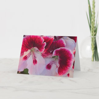 Cartão em Branco com Flores Rosa e Branca