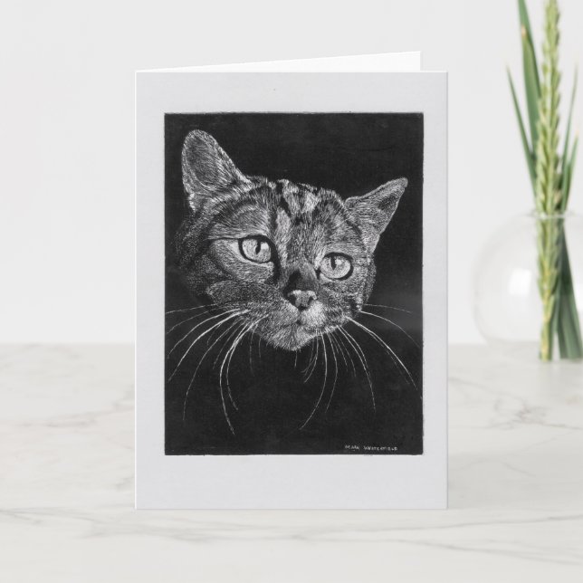 Cartão em branco com rosto de gato. (Frente)