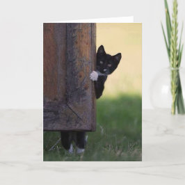 Cartão em branco de gato - simpatia, agradecimento
