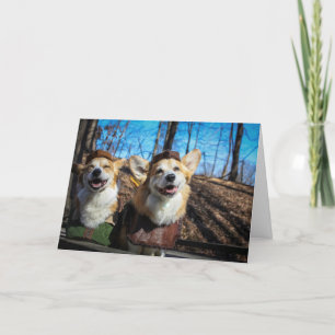 Cartão em branco do Corgi Robin Hood