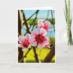Cartão em Branco Flores de Primavera