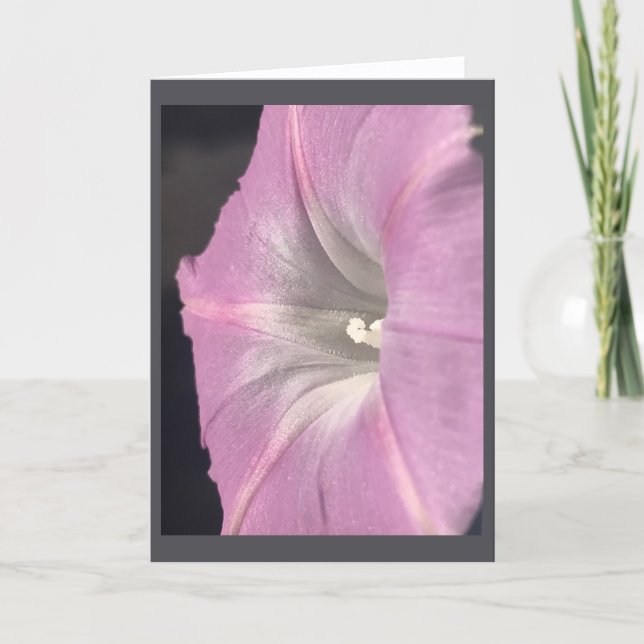 Cartão em Branco Glória da Manhã Rosa-Seda (Frente)