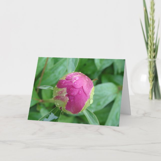 Cartão em Branco para Dar as Boas Vindas na Primav (Frente)