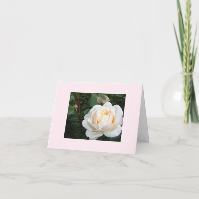 cartão em branco Pearl Rose (Frente)