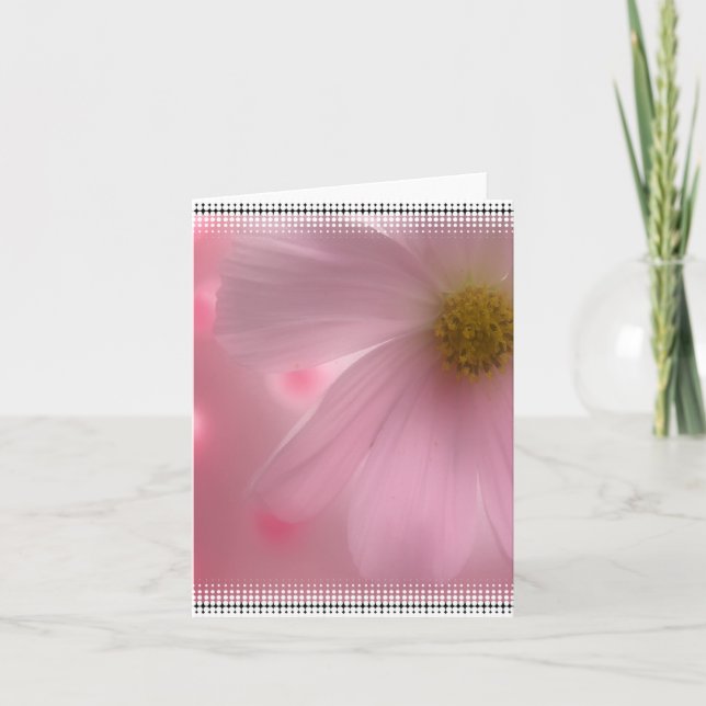 Cartão em Branco Rosa Daisy (Frente)