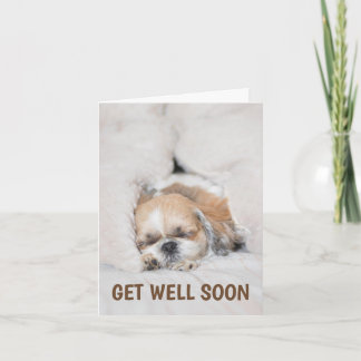 Cartão Em breve, um cachorrinho bonito, shihtzu