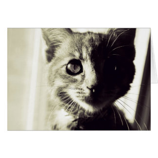 Cartão Em plena luz do dia, em preto e branco