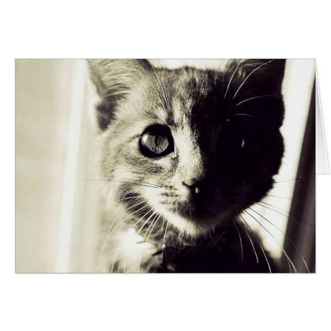 Cartão Em plena luz do dia, em preto e branco (Frente Horizontal)