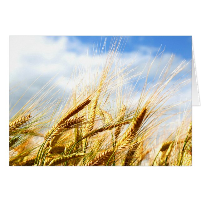 Cartão Em um Círculo Crop ao Sol (Frente Horizontal)