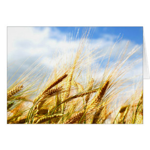 Cartão Em um círculo da colheita no sol