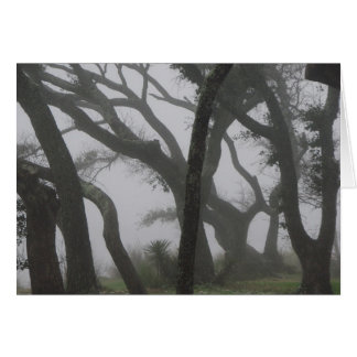 Cartão Em um Nevoeiro