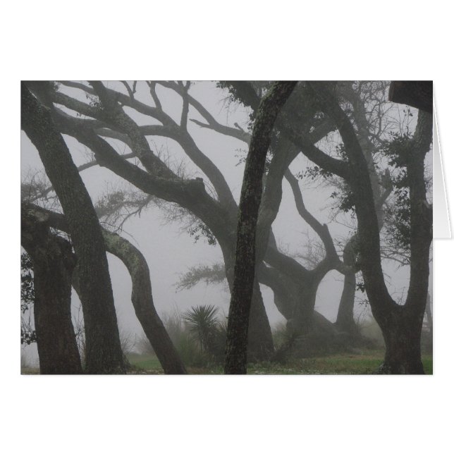 Cartão Em um Nevoeiro (Frente Horizontal)