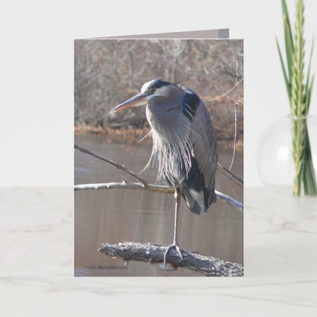 Cartão Em um pé (Frente)