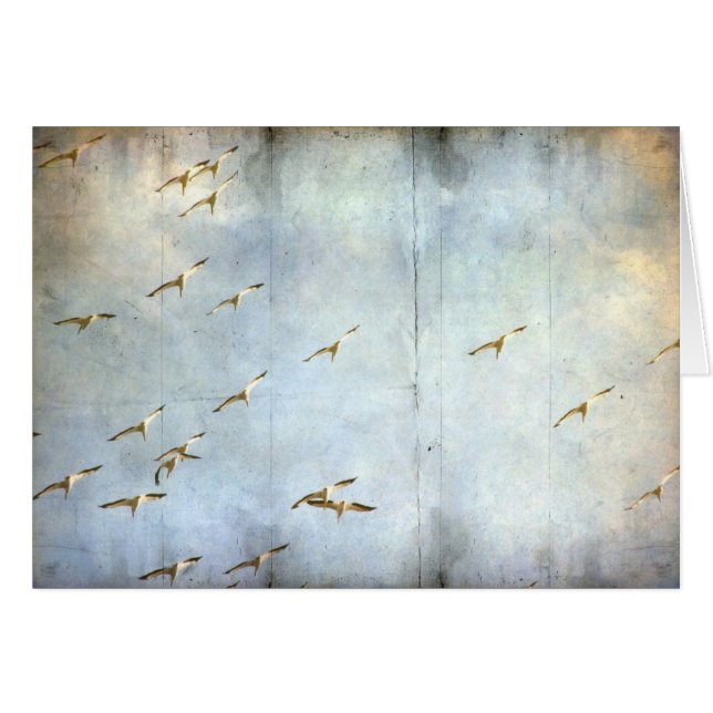 Cartão Em Voo (Frente Horizontal)