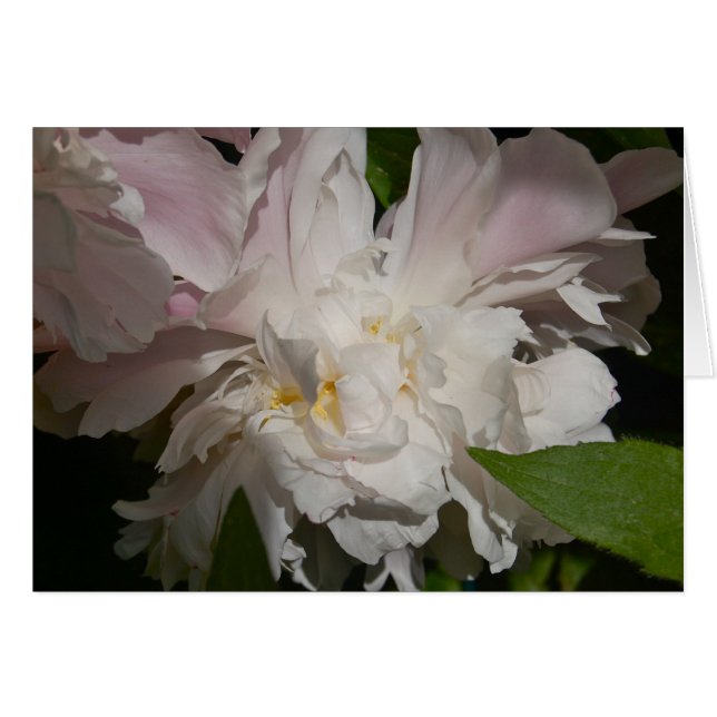 Cartão Em vôo (Frente Horizontal)