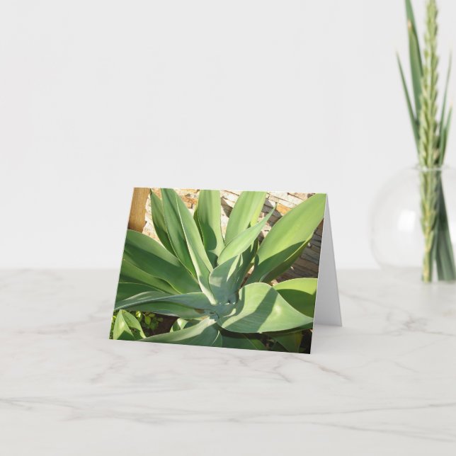 Cartão Embebendo acima o Sun (Frente)