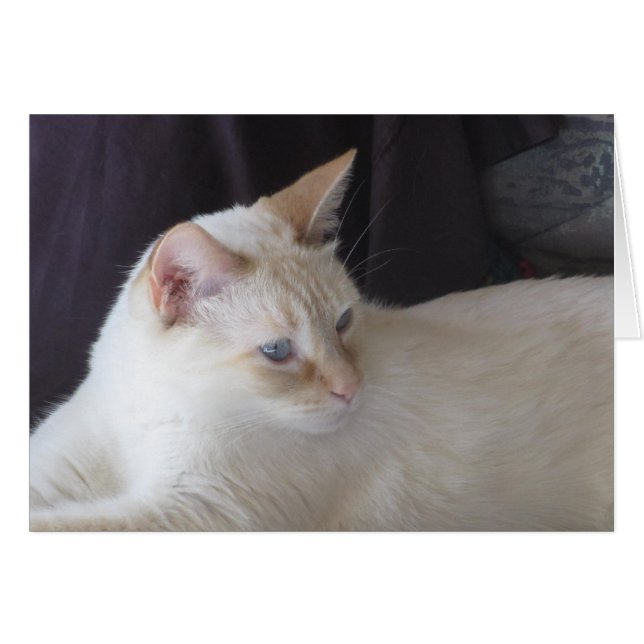 Cartão Ember serene (Frente Horizontal)